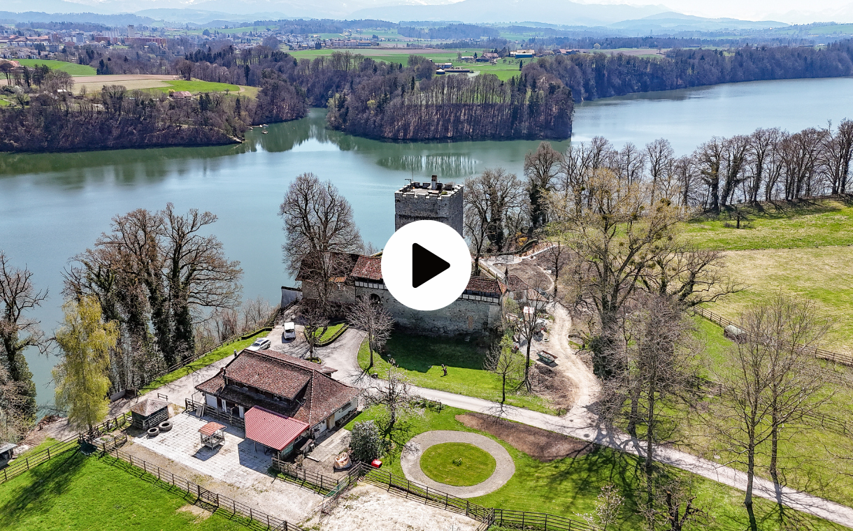 Schloss Petit Vivy 